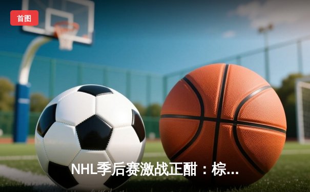 NHL季后赛激战正酣：棕熊加时绝杀闪电，帕斯特尔尼亚克独中两元率队夺赛点