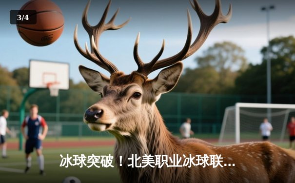 冰球突破！北美职业冰球联赛总决赛上演史诗级逆转，枫叶队加时绝杀卫冕冠军 - 3