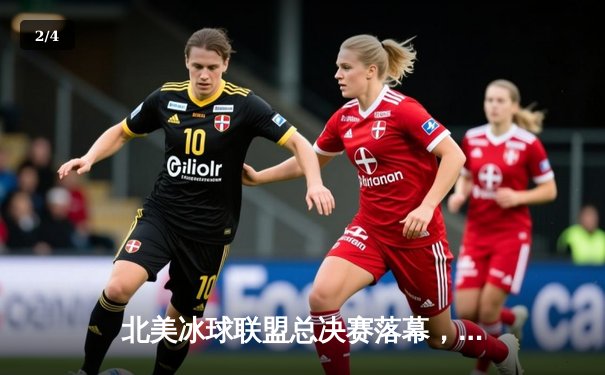 北美冰球联盟总决赛落幕，芝加哥黑鹰加时绝杀卫冕成功 - 2