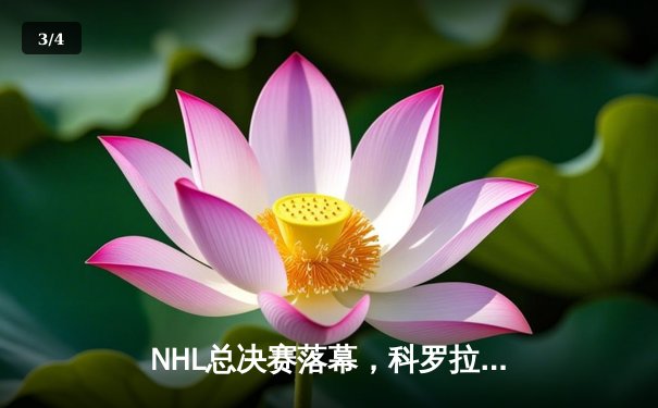 NHL总决赛落幕，科罗拉多雪崩力克坦帕湾闪电加冕队史第三冠 - 3